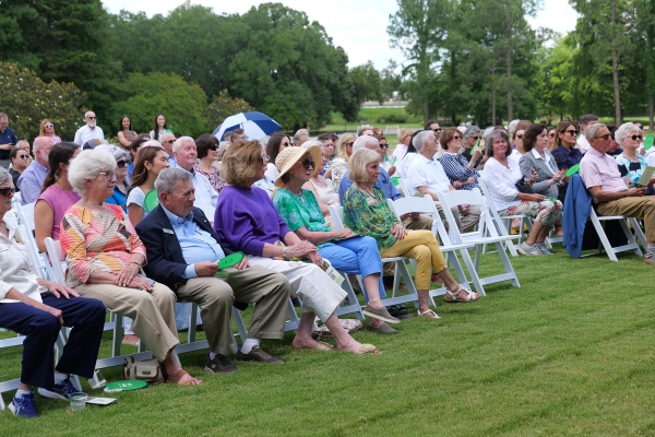 guests on lawn