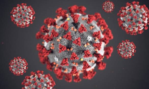 Novel Coronavirus image