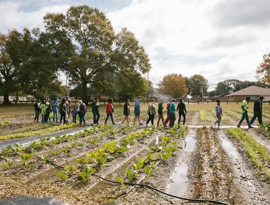 Baton Roots kids and volunteers walking thru garden