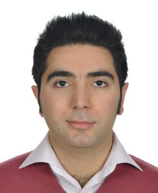 Picture of Siavash Sarrafan