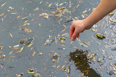 hand holding sample vial over water