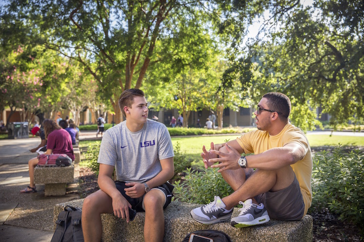 students on bench in quad