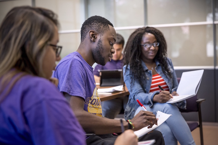 students studying in library