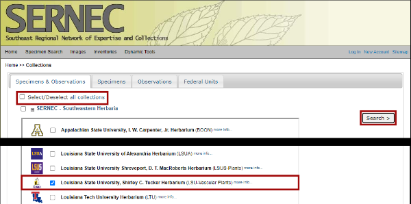2. To only search in our collections, Deselect all the collections, then click on Shirley C. Tucker Herbarium - LSU*. Then Enter or click the Search button.