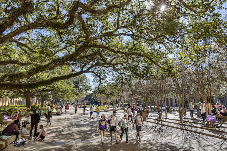 Sidewalk on campus