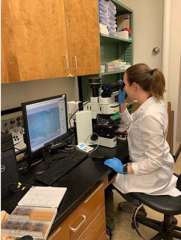 Christine Lattin looking through a microscope