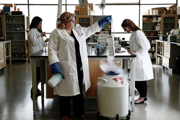 Dr. Jackie Stephens in her lab with two of her students.