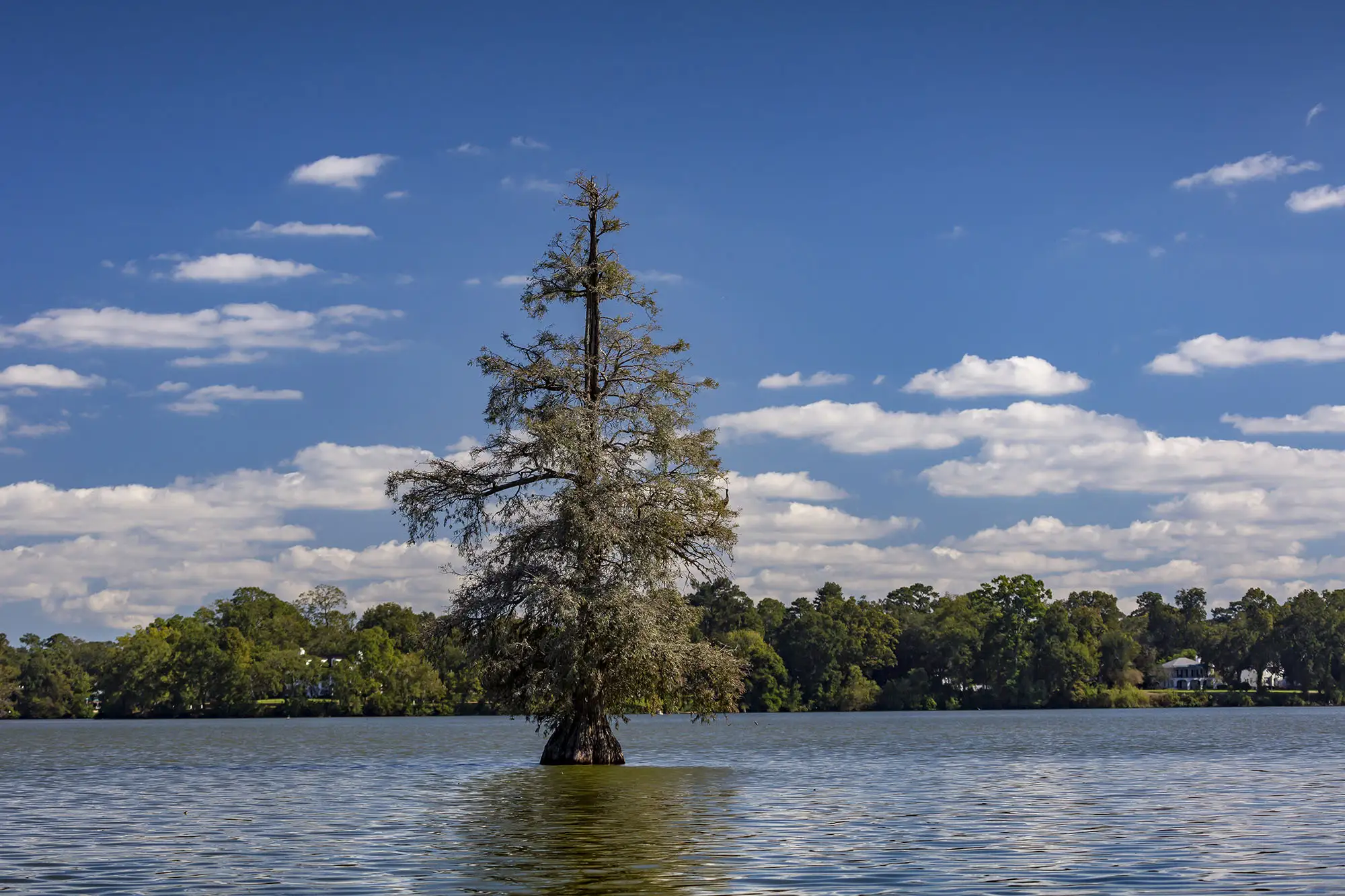 LSU lakes